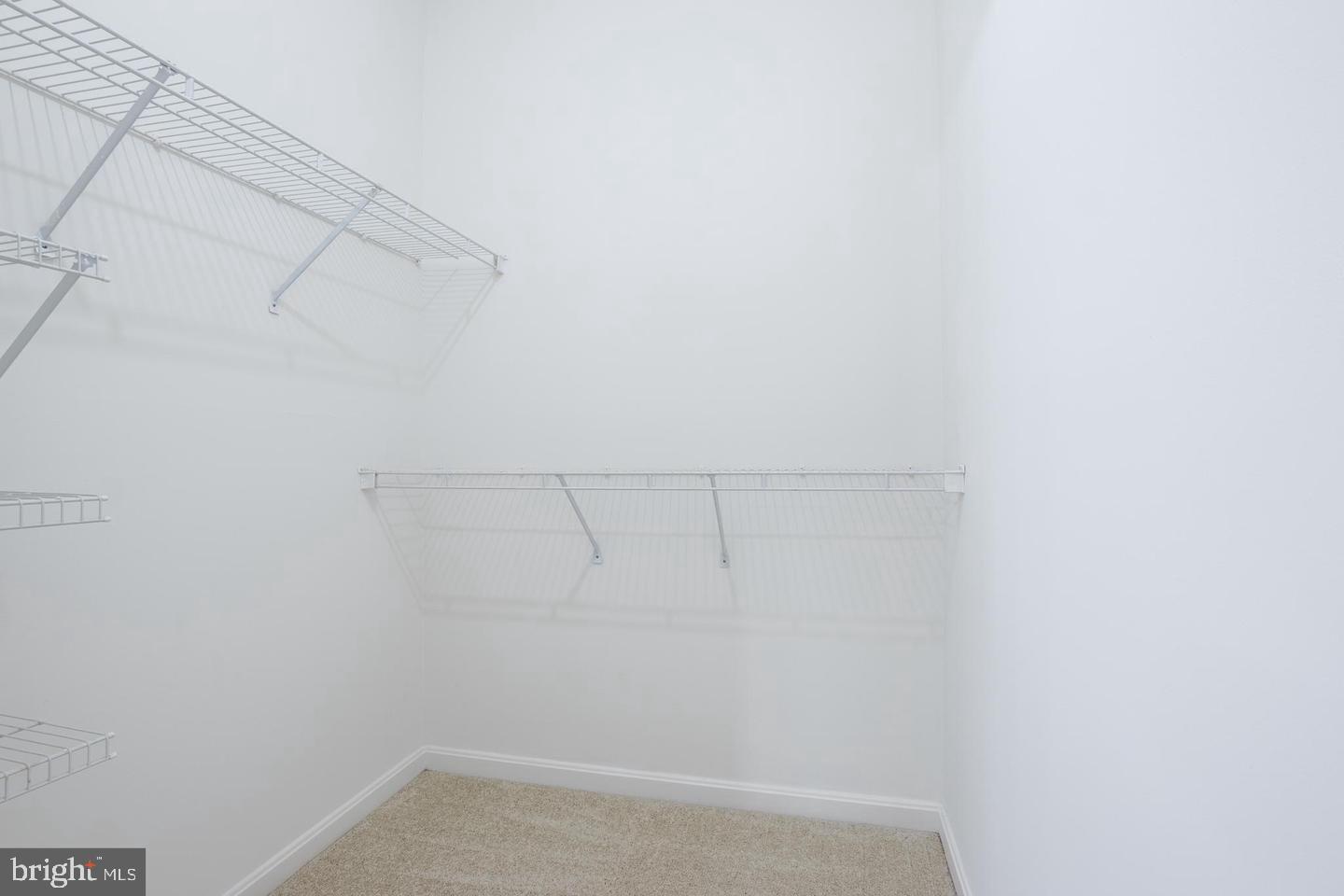 4144 Fountainside Ln #102 Property Photo 10