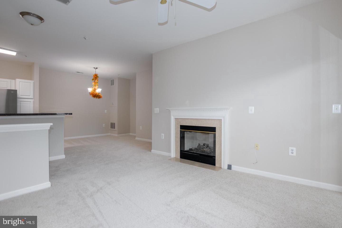4144 Fountainside Ln #102 Property Photo 16