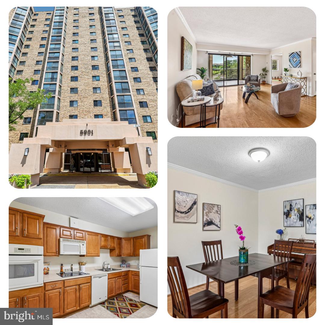 5901 Mount Eagle Dr #409 Property Photo 1
