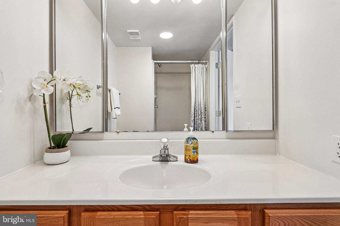 5901 Mount Eagle Dr #409 Property Photo 20