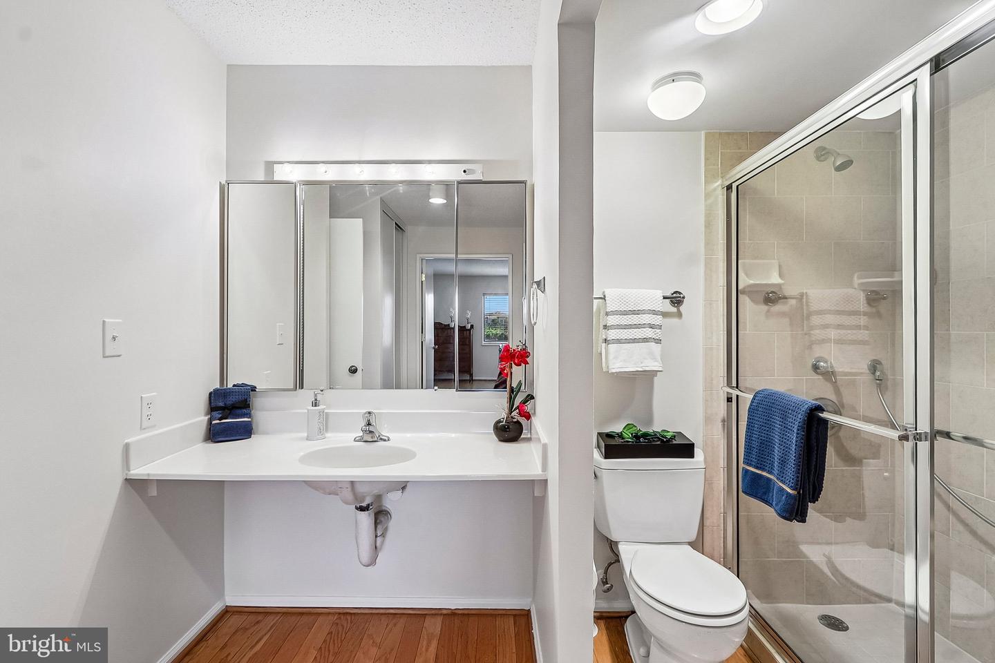 5901 Mount Eagle Dr #409 Property Photo 25