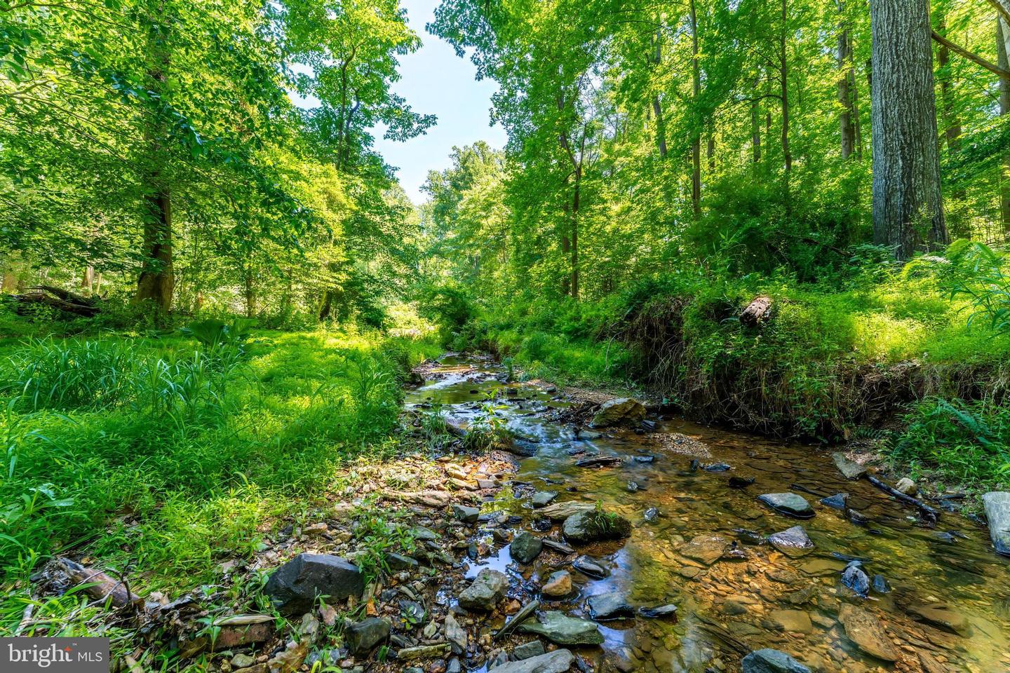 518 Goldsmith Ln Property Photo 29