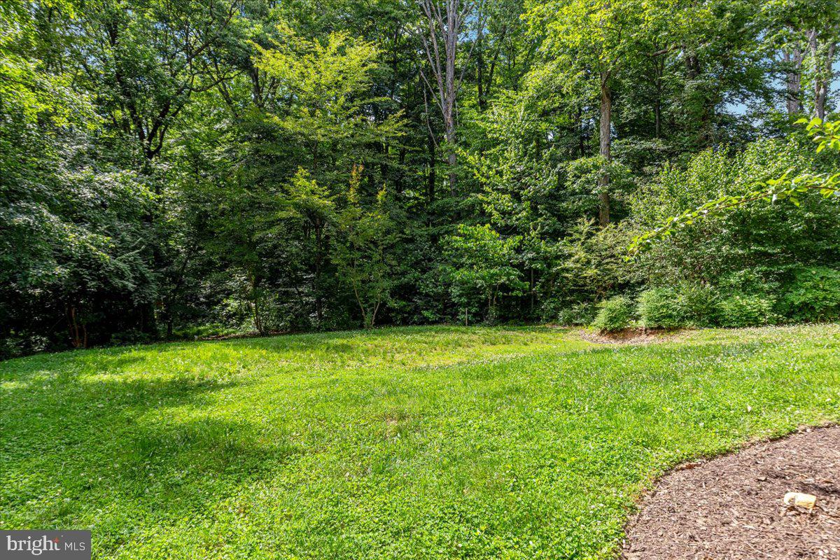 7131 Woodland Dr Property Photo 76