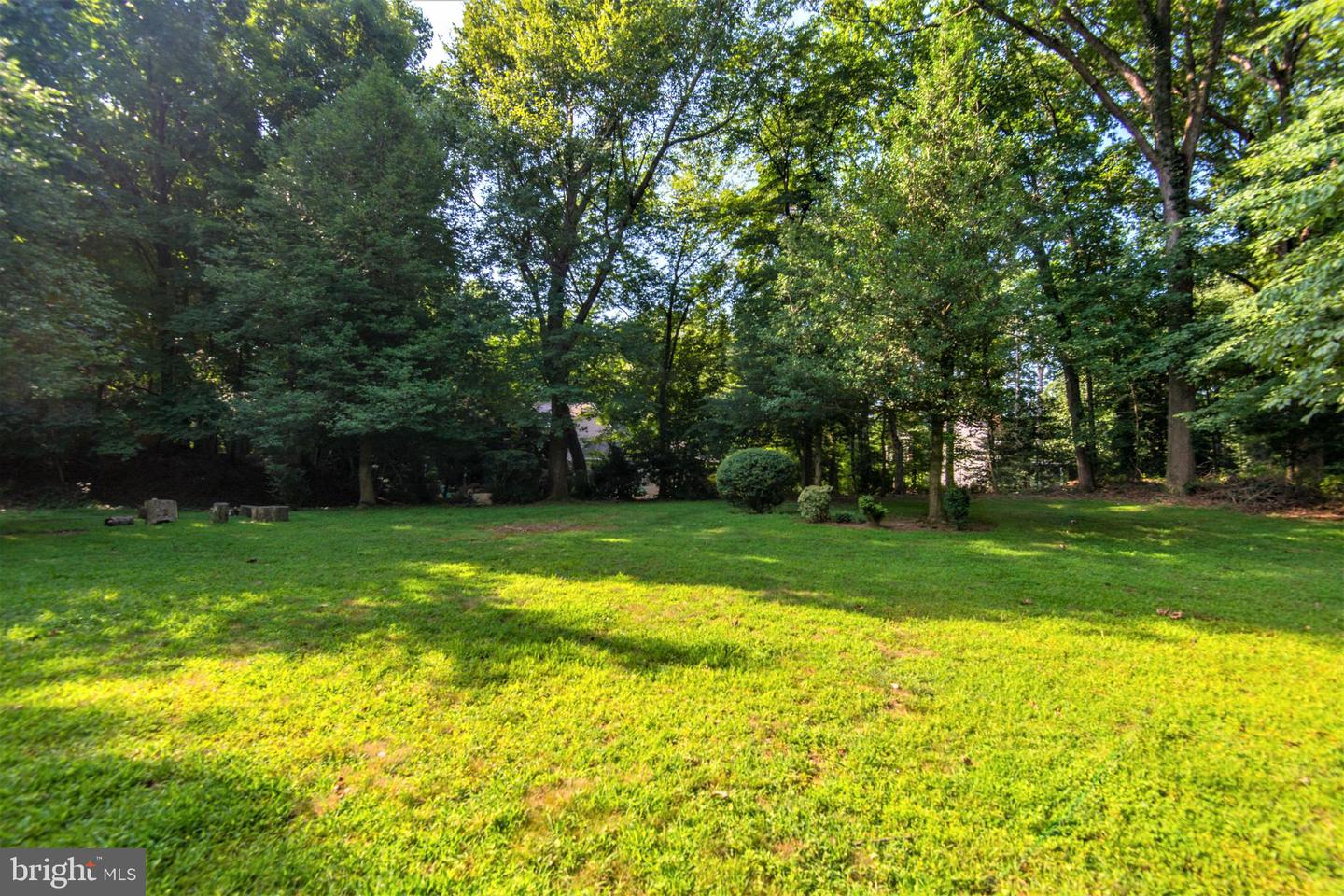 10322 Dunn Meadow Rd Property Photo 45
