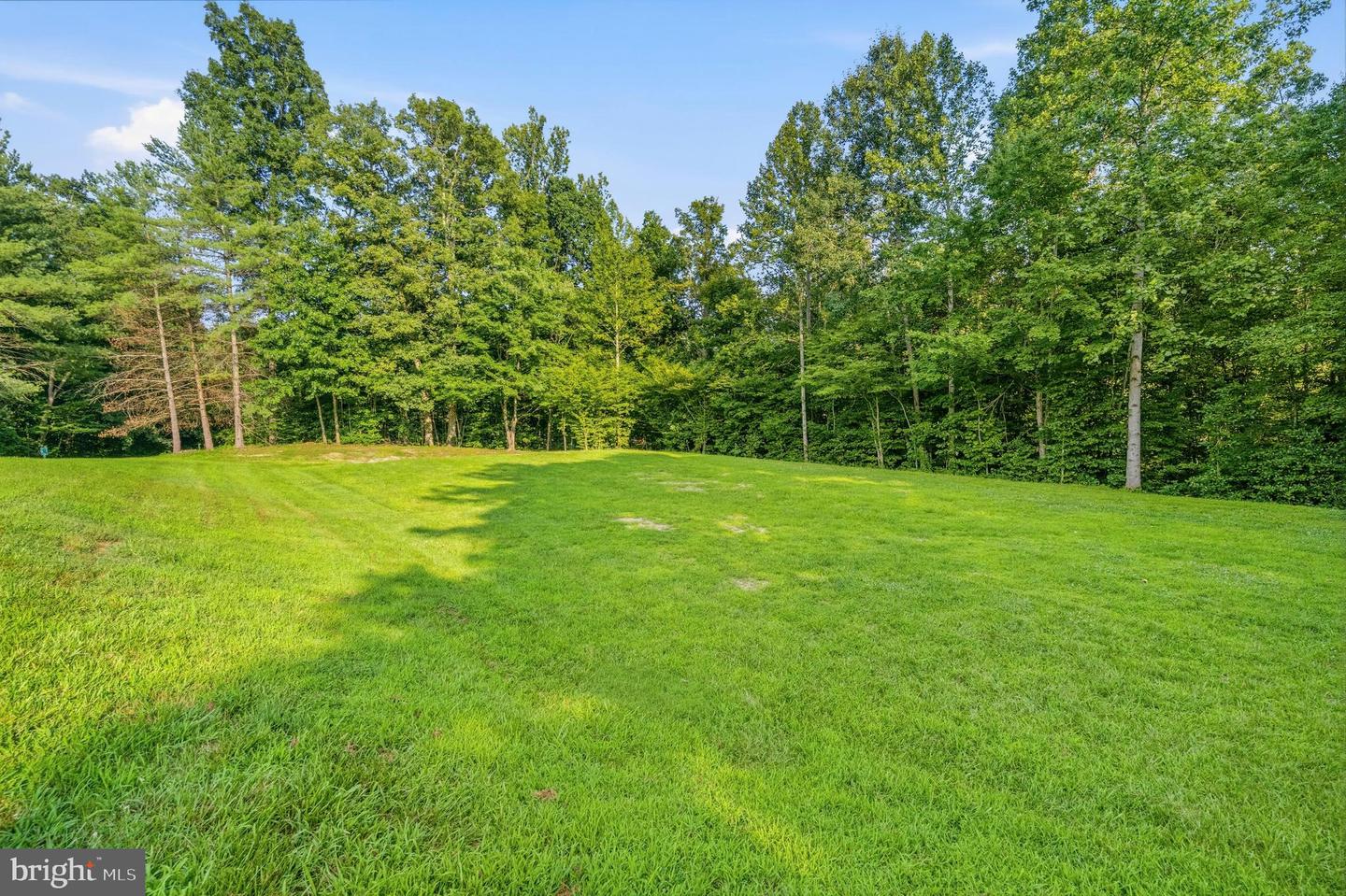 7233 Ashview Dr Property Photo 42