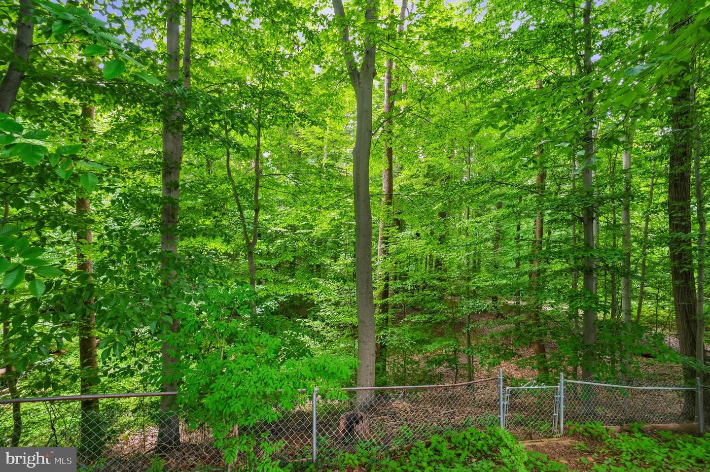4908 Woodland Way Property Photo 64