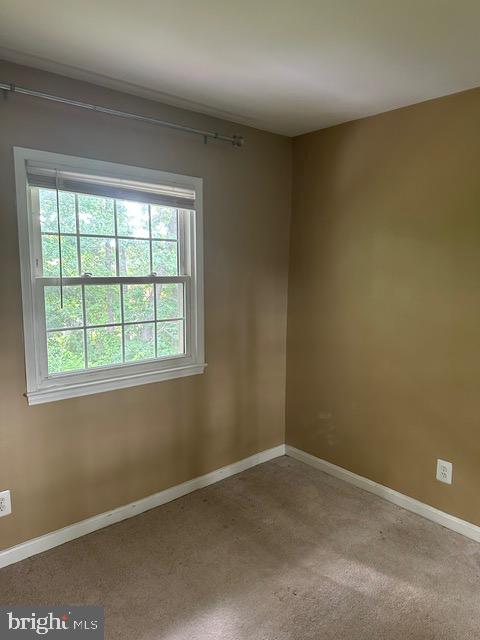 14709 Bentley Sq Property Photo 37