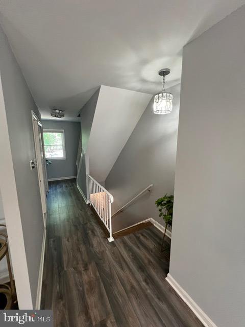 14709 Bentley Sq Property Photo 42