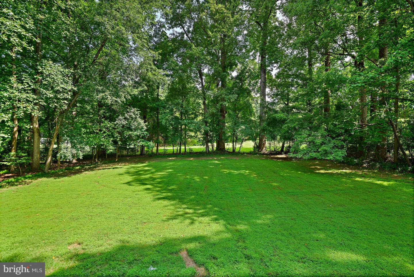 10560 Fox Forest Dr Property Photo 51