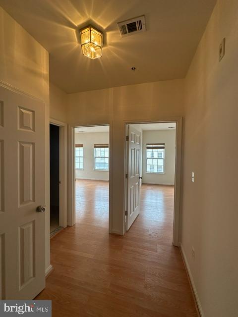 2664 Manhattan Pl #306 Property Photo 8