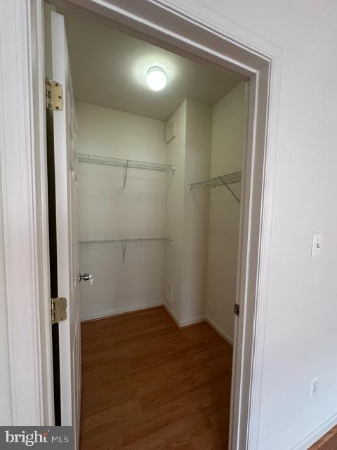 2664 Manhattan Pl #306 Property Photo 22