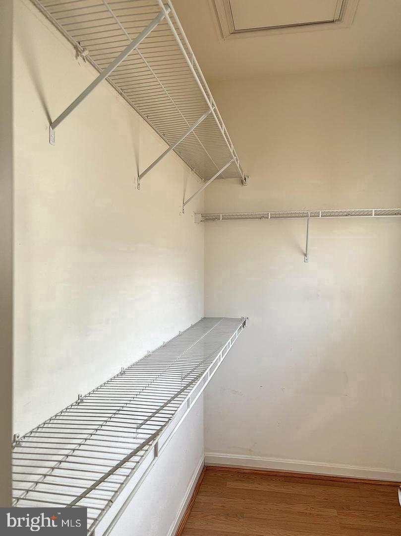 2664 Manhattan Pl #306 Property Photo 23