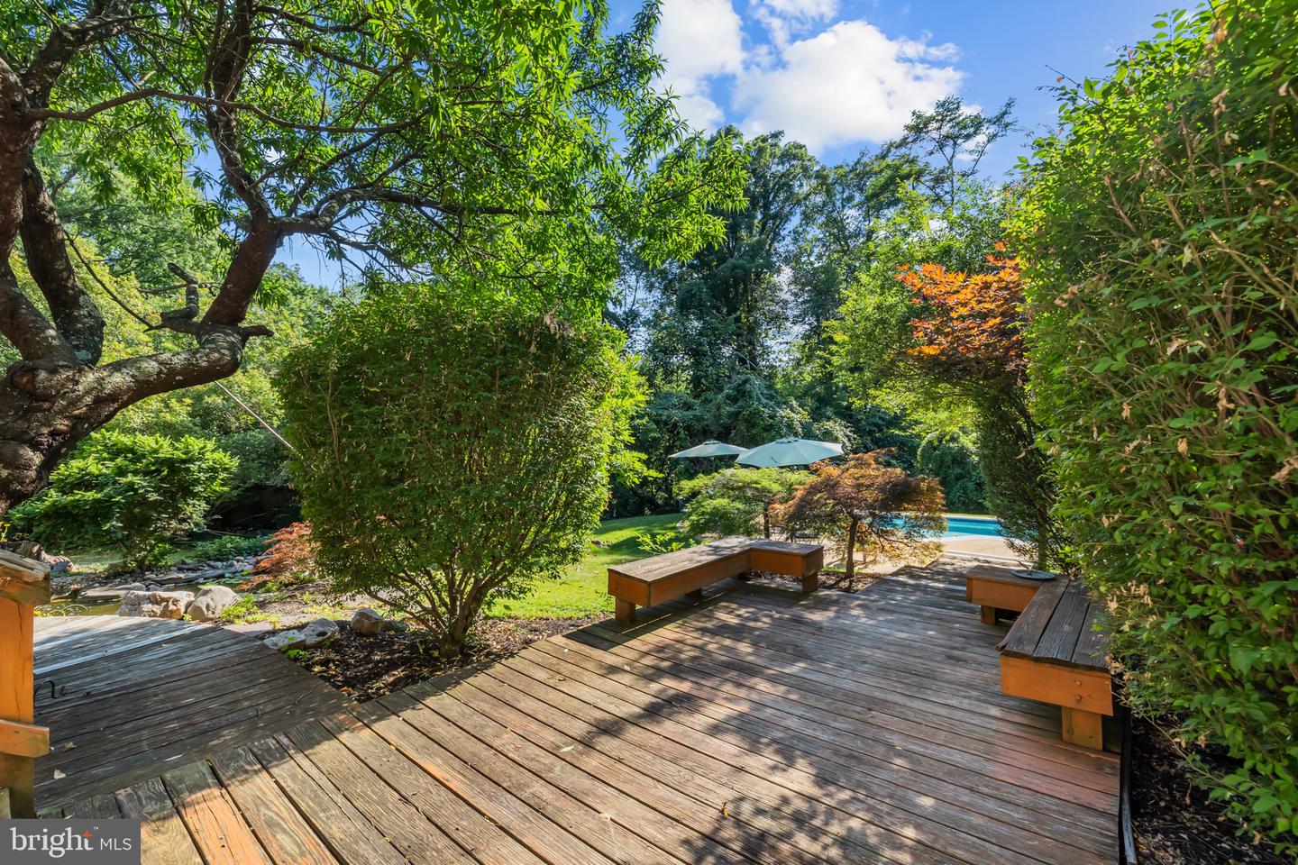 4912 Virginia St Property Photo 46