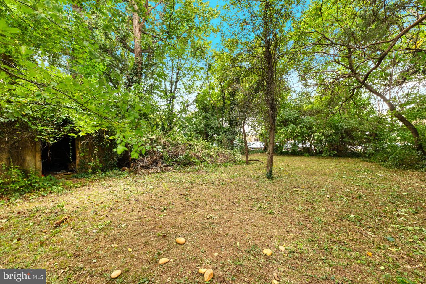 1644 La Salle Ave Property Photo 11