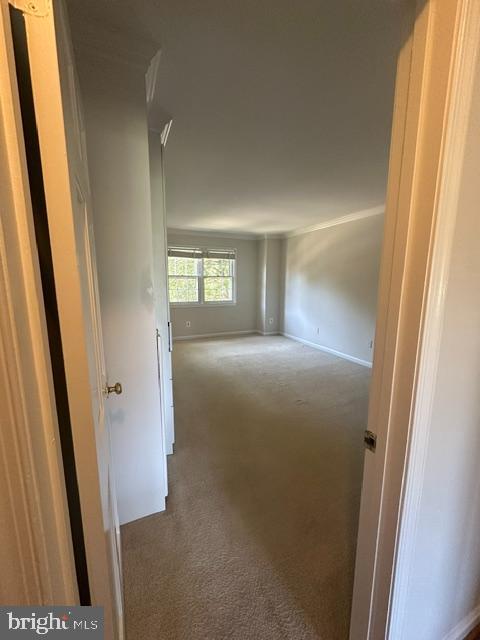 7412 Hallcrest Dr Property Photo 24