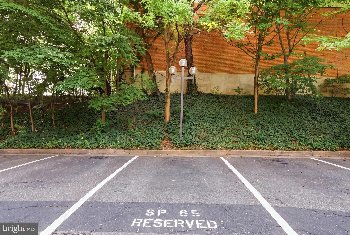 3713 S George Mason Dr #404 Property Photo 31