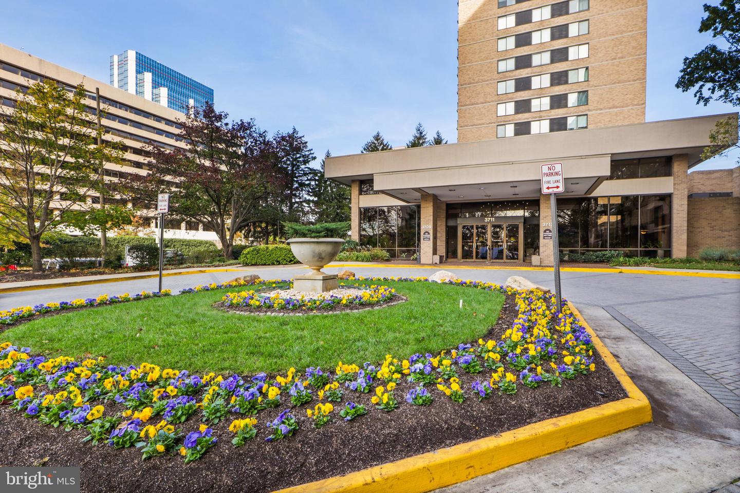 3713 S George Mason Dr #404 Property Photo 35