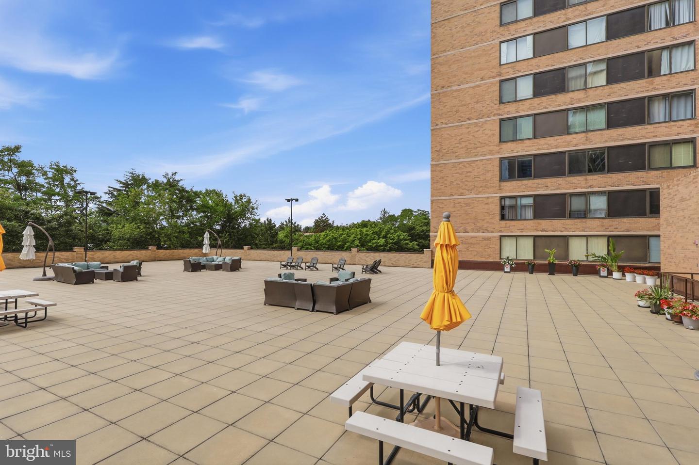 3713 S George Mason Dr #404 Property Photo 39