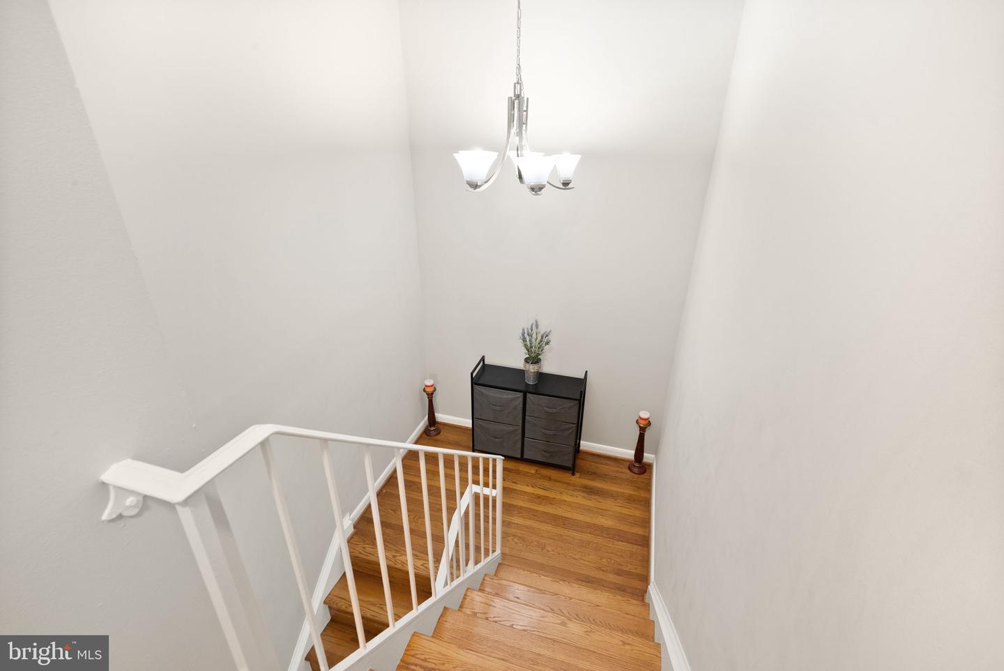 11041 Saffold Way Property Photo 22