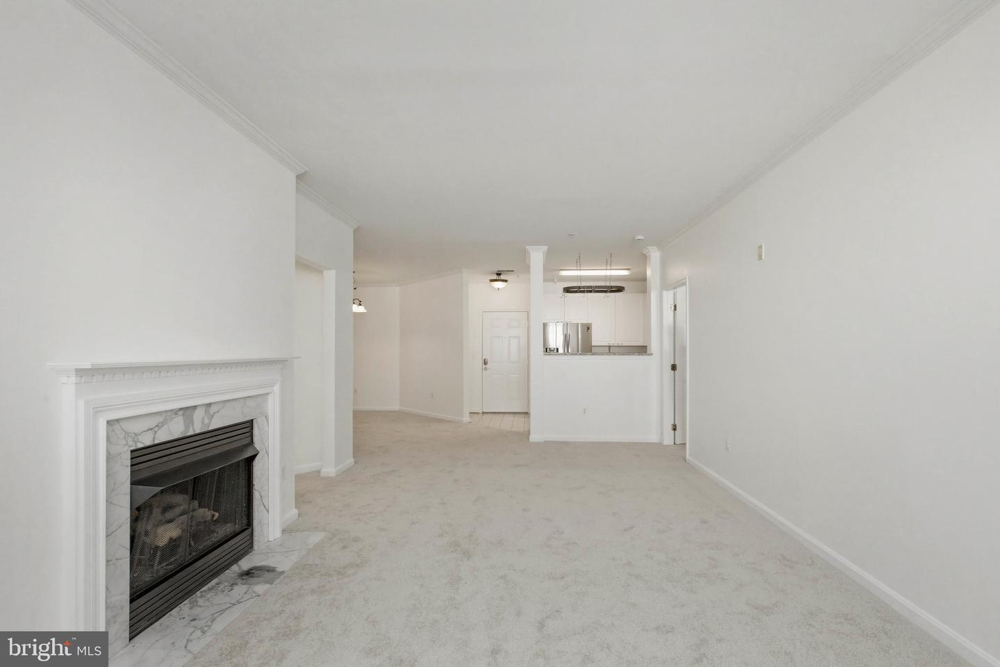 2711 Bellforest Ct #305 Property Photo 13