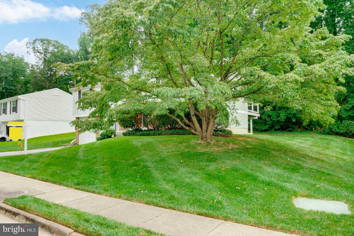 5906 Oak Leather Dr Property Photo 43