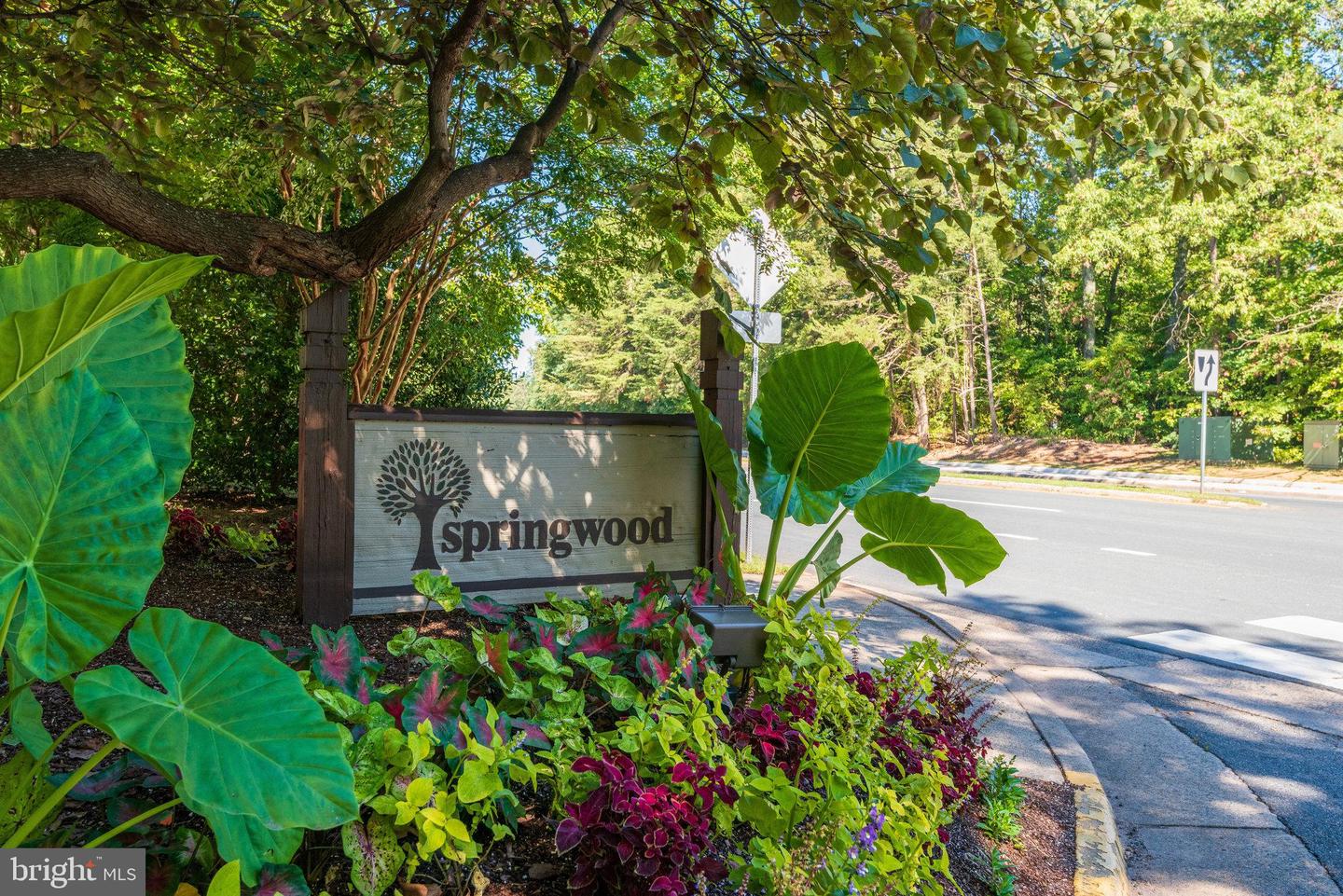 2210 Springwood Dr #207 Property Photo 2