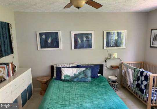 2124 Glenn Spring Ct Property Photo 11