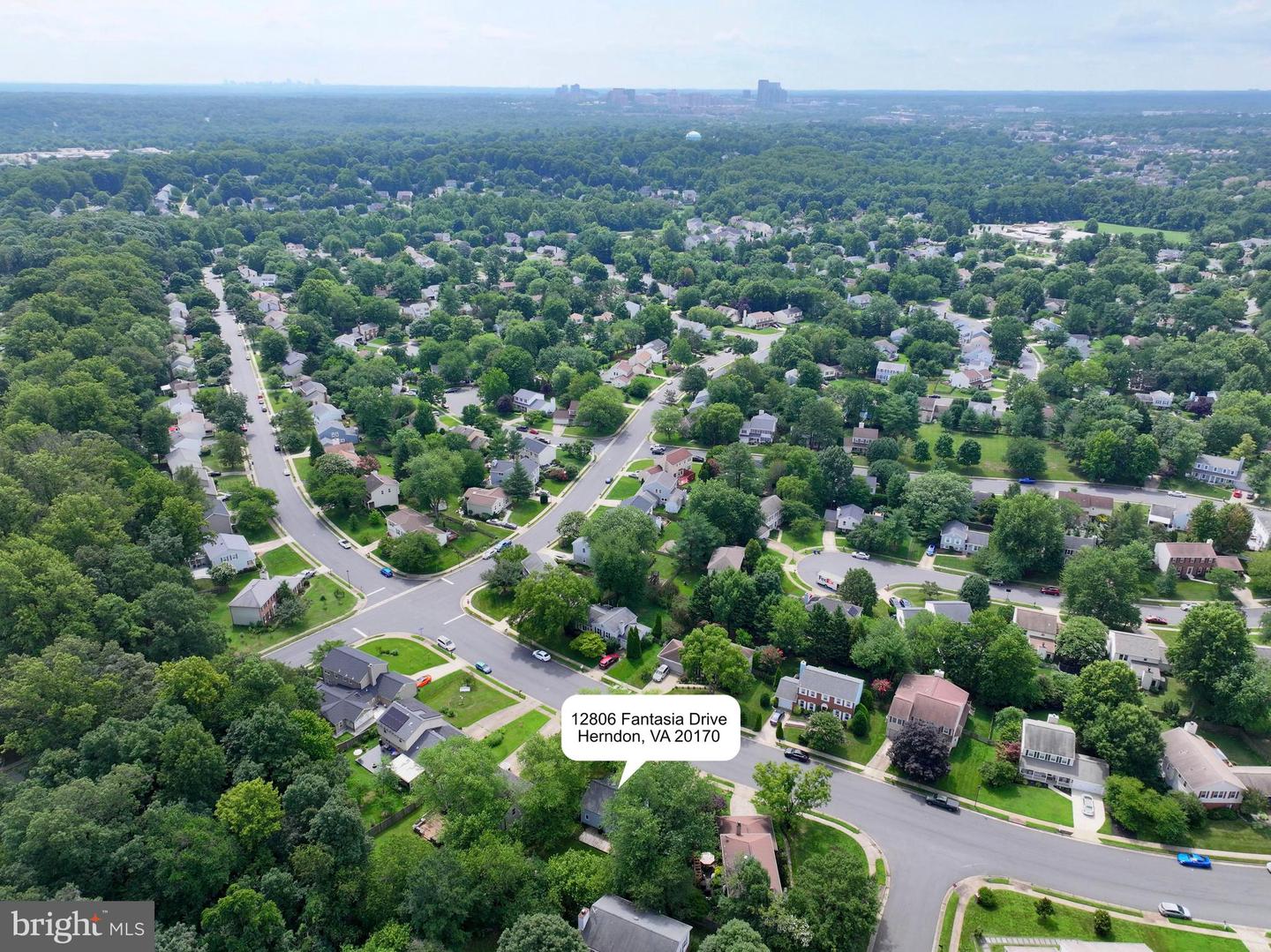 12806 Fantasia Dr Property Photo 41