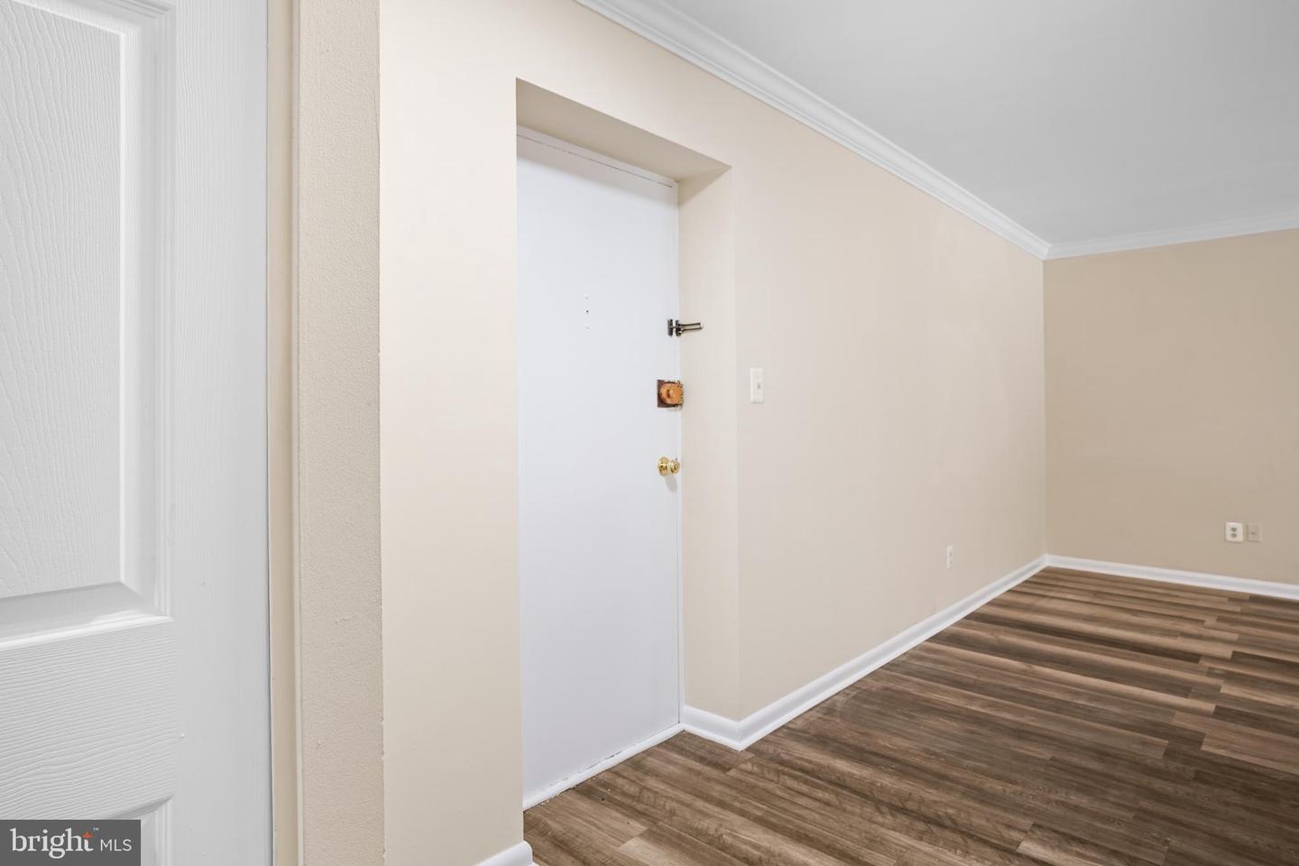 6141 Leesburg Pike #101 Property Photo 7