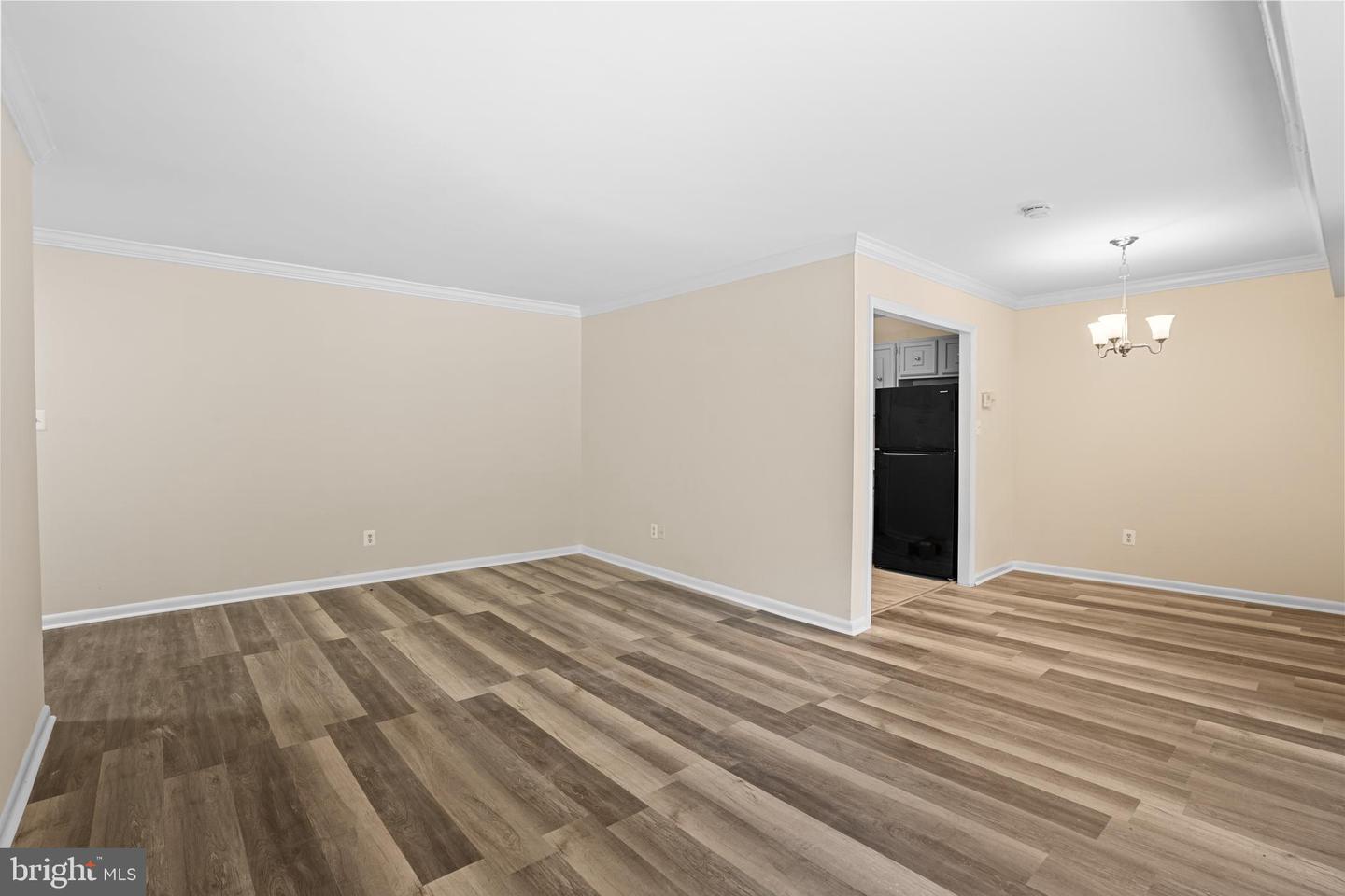 6141 Leesburg Pike #101 Property Photo 13