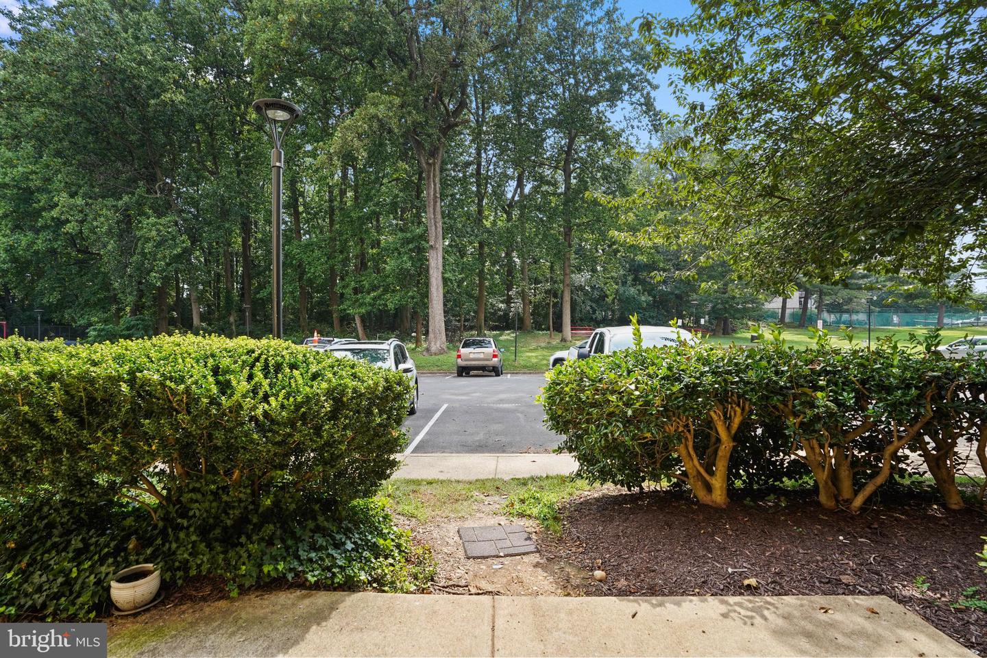 6141 Leesburg Pike #101 Property Photo 33