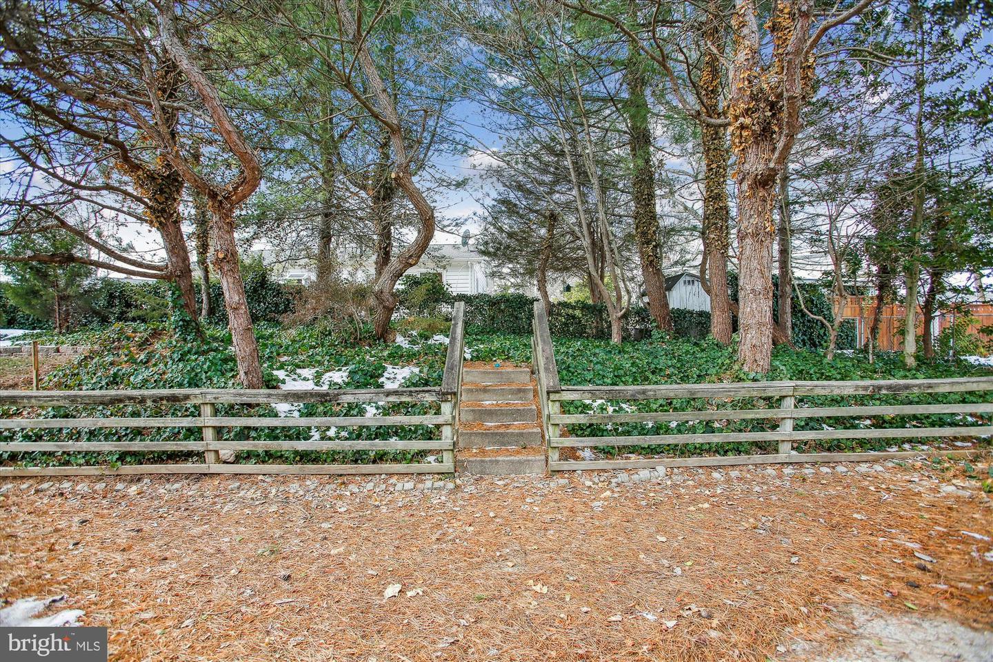 4904 Chanticleer Ave Property Photo 30