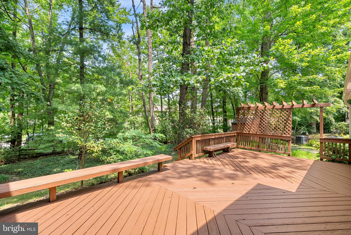 2284 Dosinia Ct Property Photo 52
