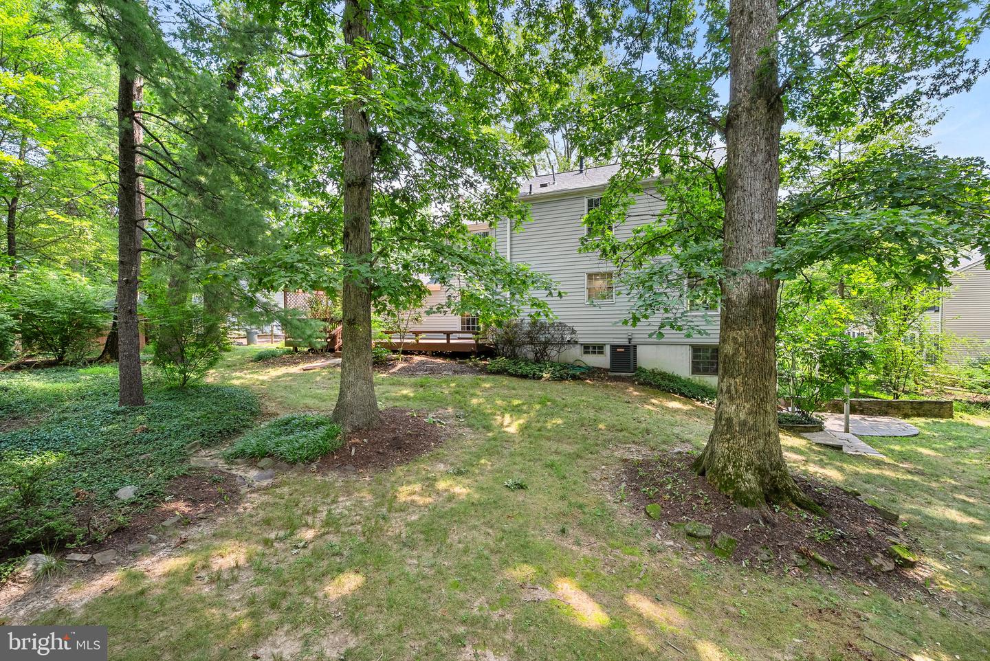 2284 Dosinia Ct Property Photo 60