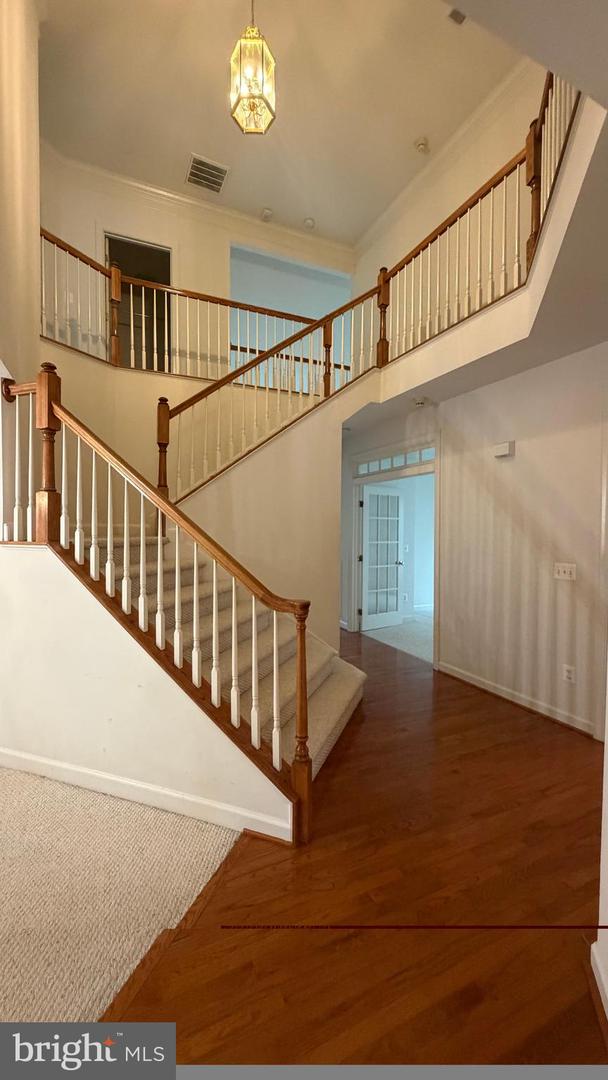12525 Cerromar Pl Property Photo 7