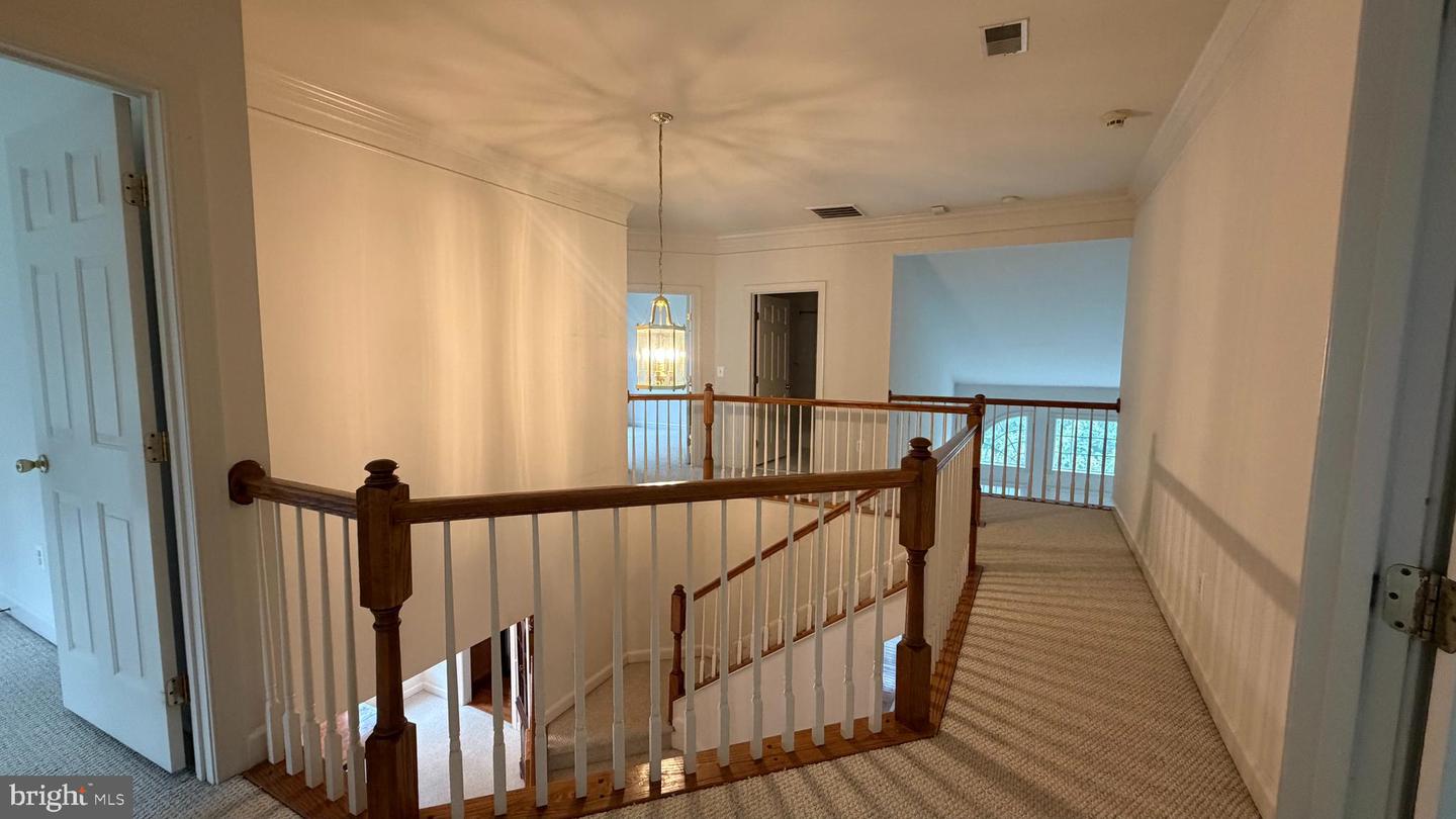 12525 Cerromar Pl Property Photo 19