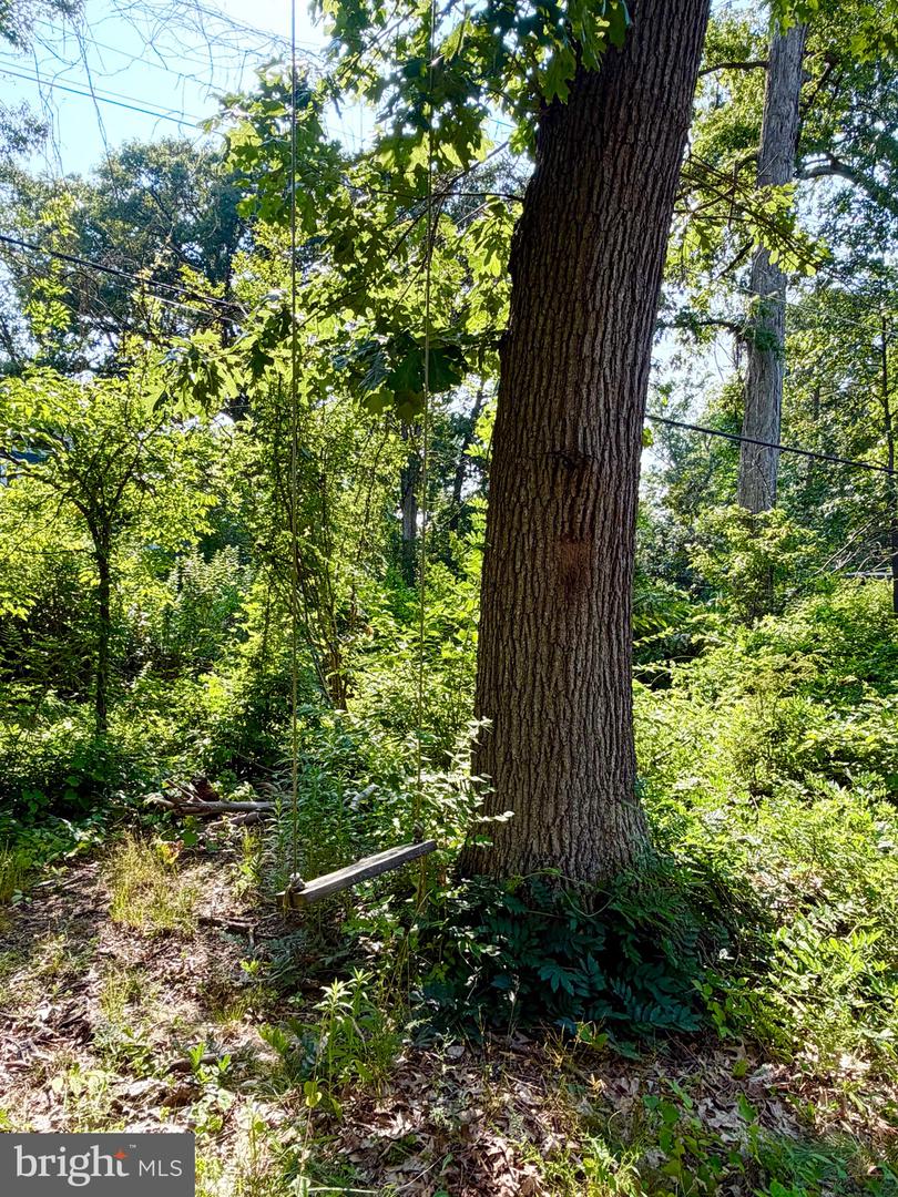 1208 Shenandoah Rd Property Photo 27