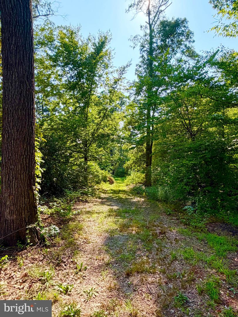 1208 Shenandoah Rd Property Photo 28