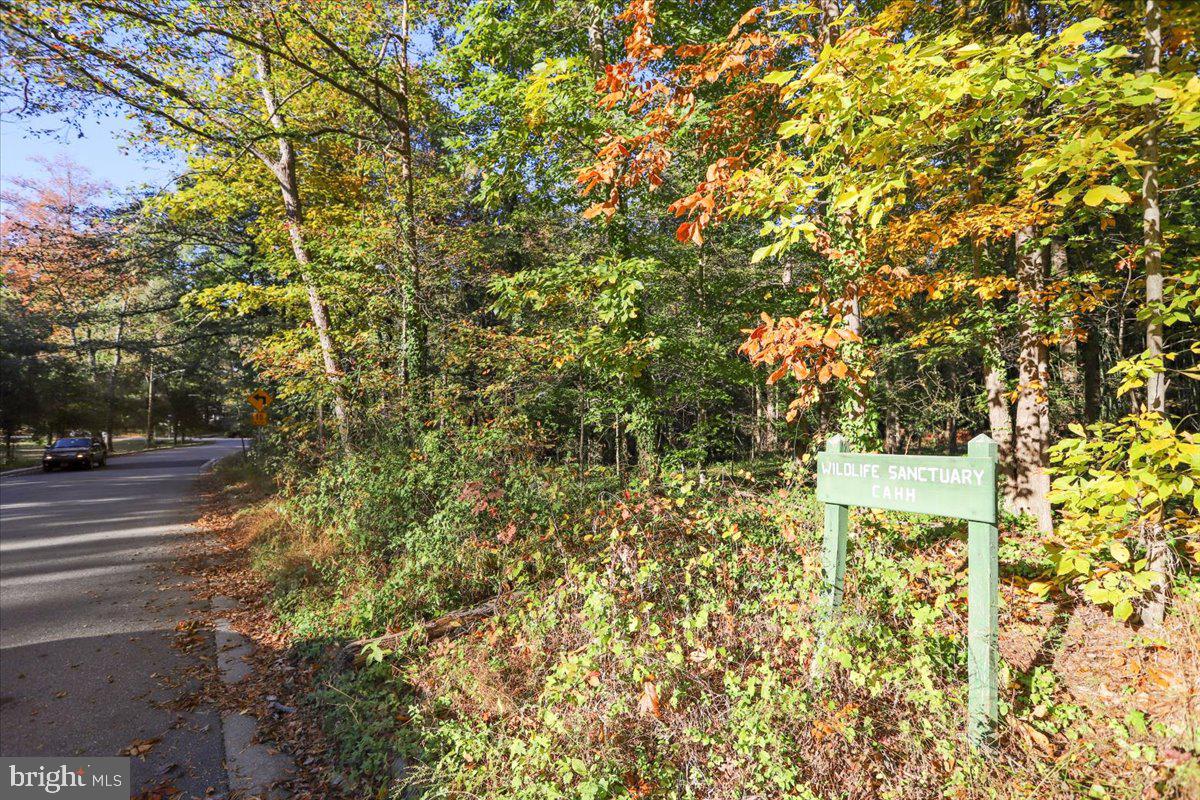 1208 Shenandoah Rd Property Photo 31