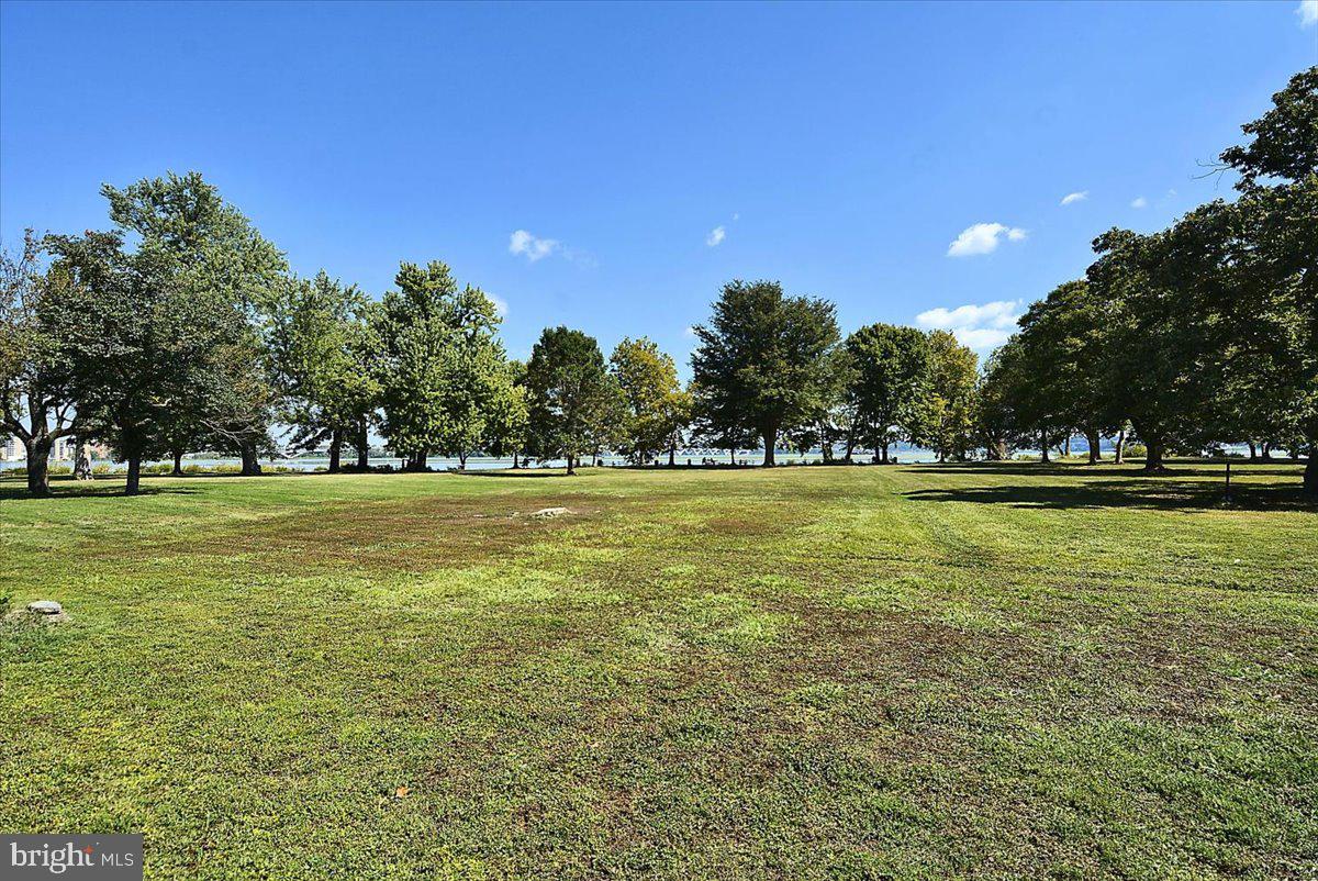 1208 Shenandoah Rd Property Photo 36