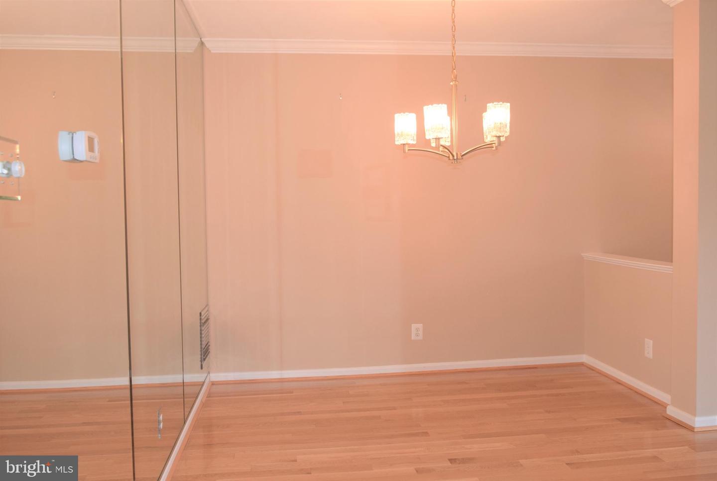 8933 Royal Astor Way Property Photo 9