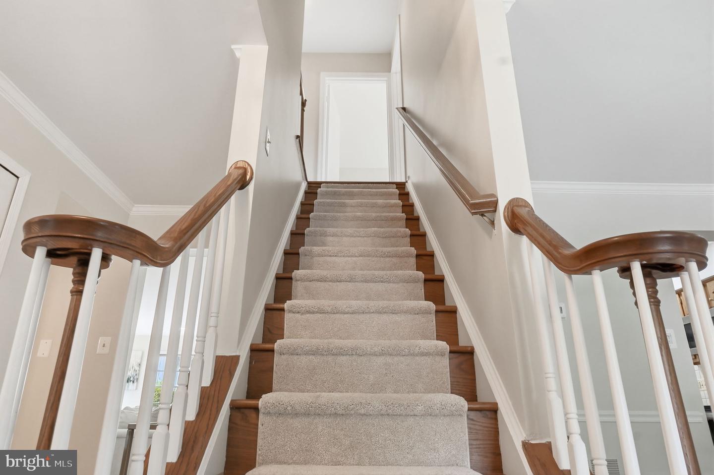 7362 Silver Pine Dr Property Photo 34