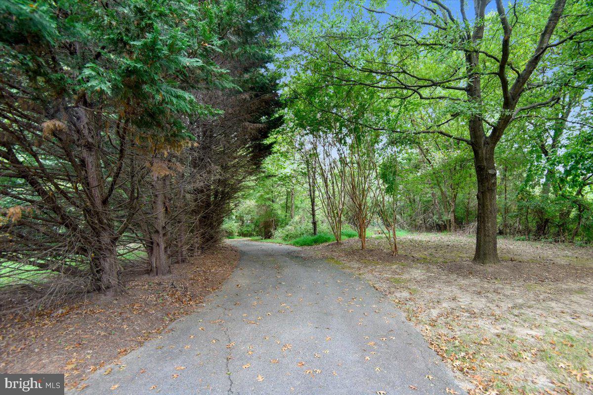 12161 Penderview Ter #935 Property Photo 32