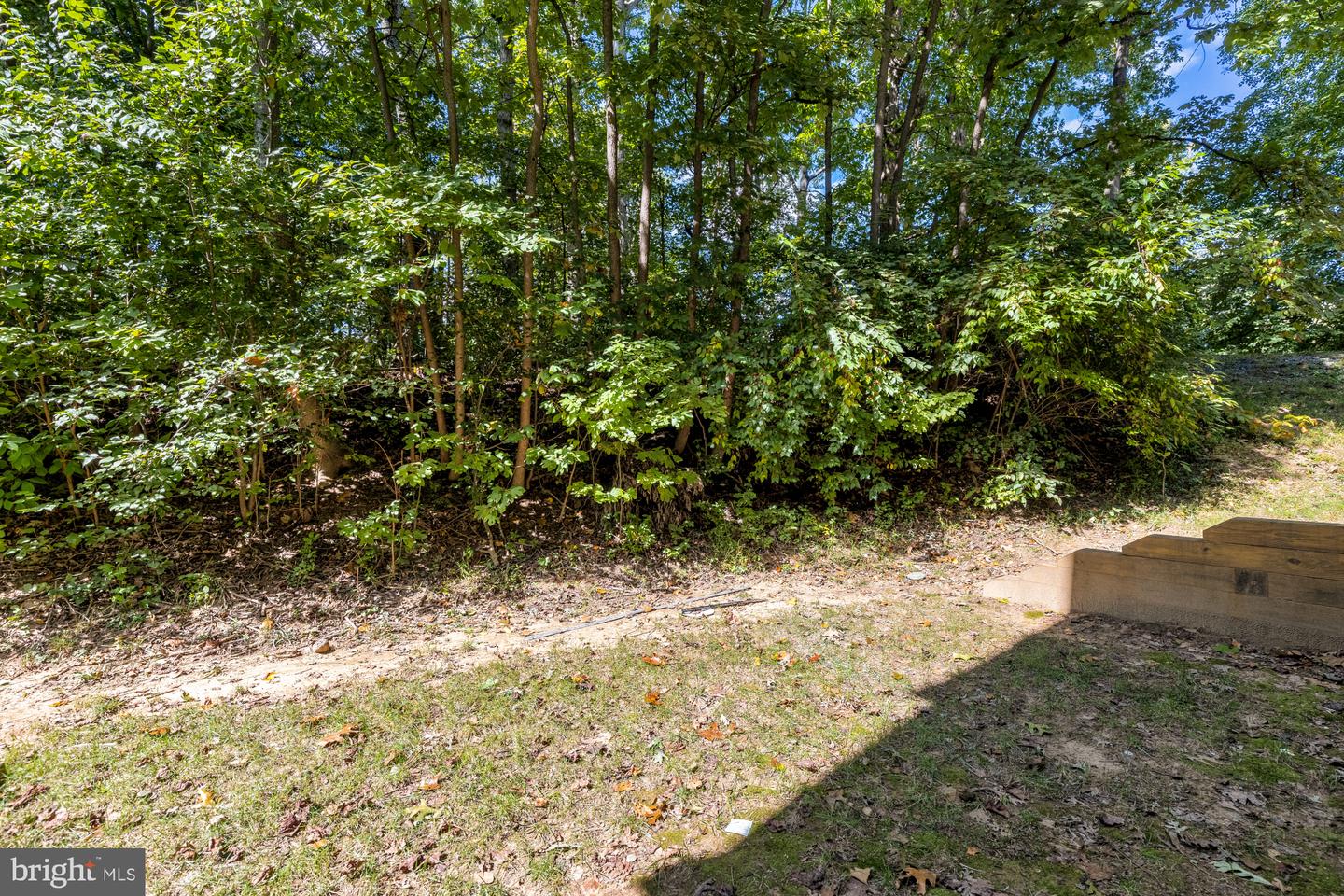 10224 Faire Commons Ct Property Photo 37