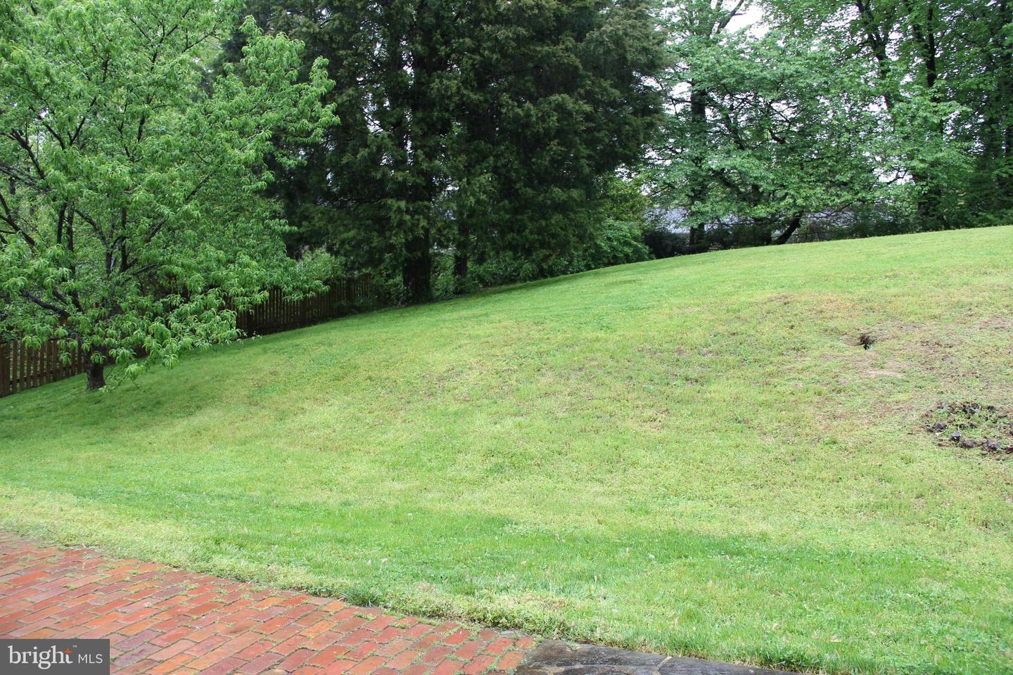 1103 Delf Dr Property Photo 18