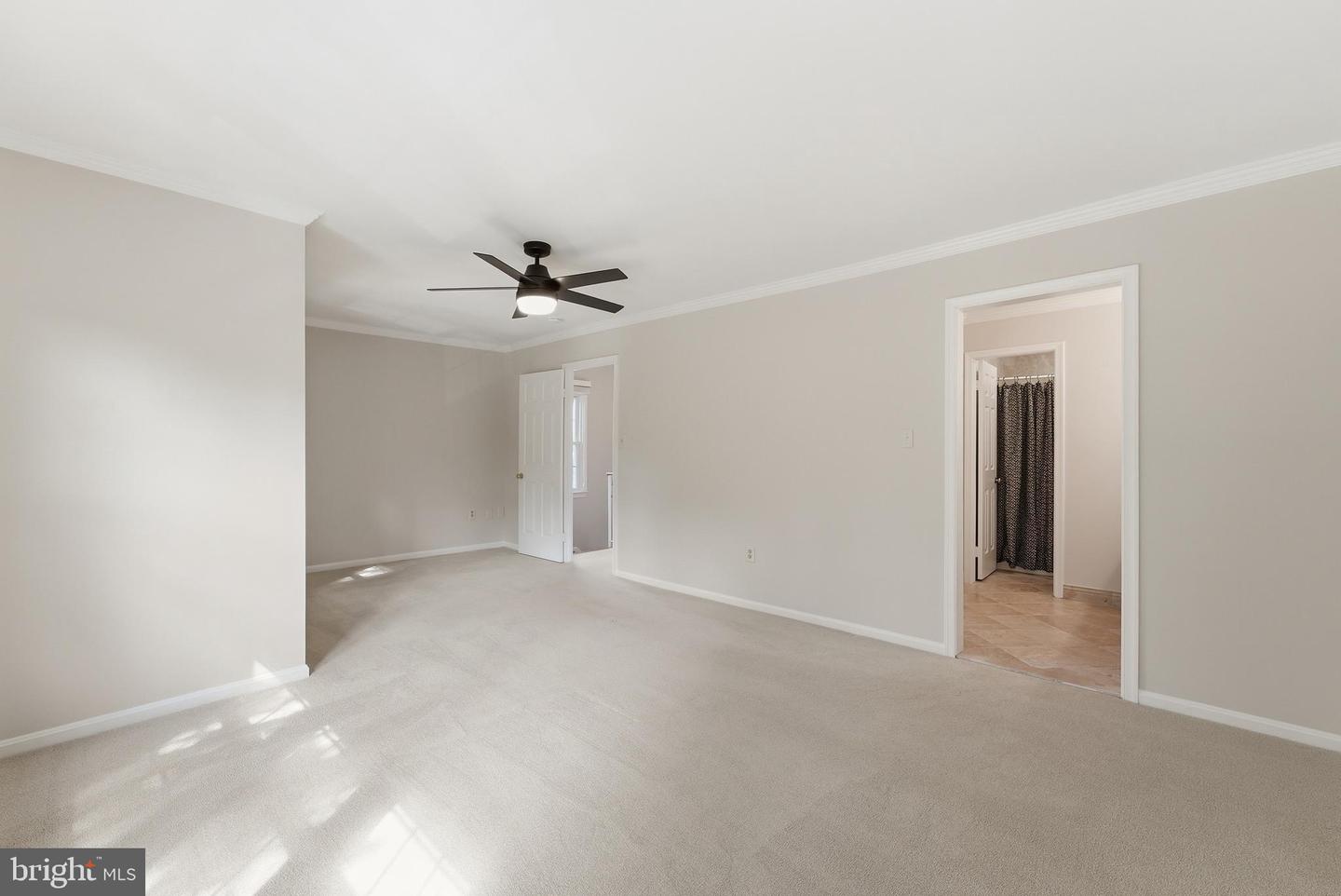 7857 Hampton Village Pass Property Photo 20