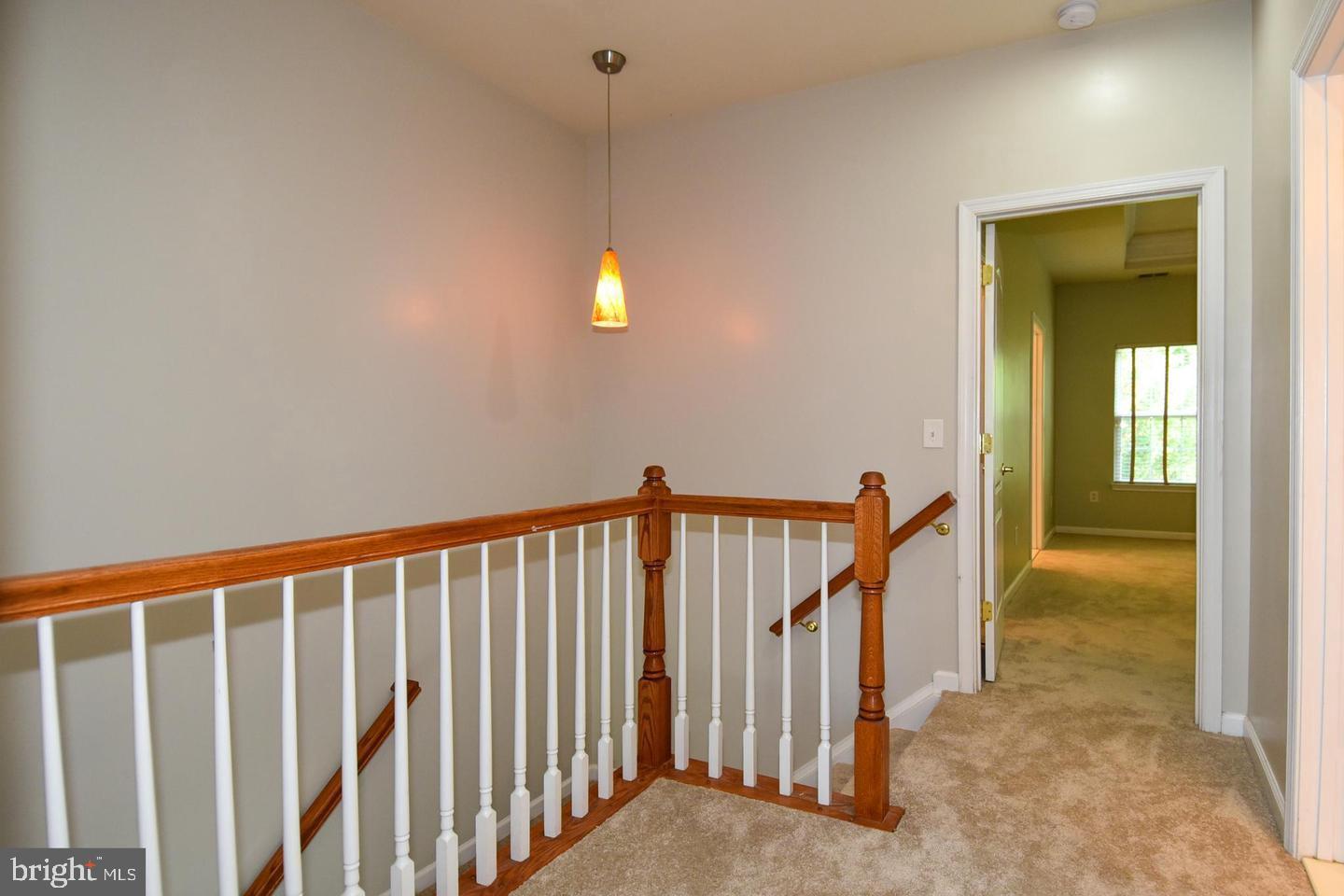 7810 Locust Leaf Ln Property Photo 19