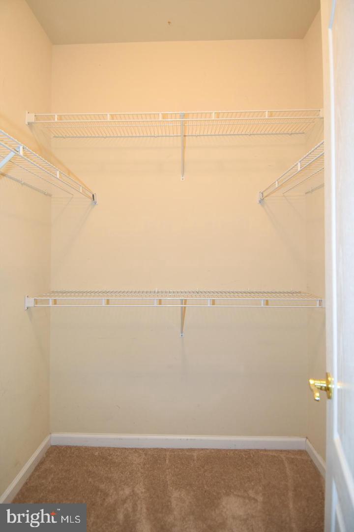 7810 Locust Leaf Ln Property Photo 34