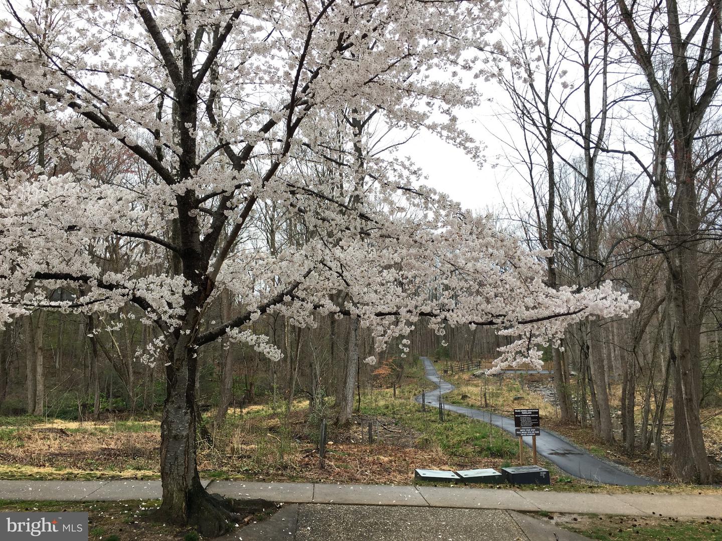 8807 Aunt Lilly Ln Property Photo 48