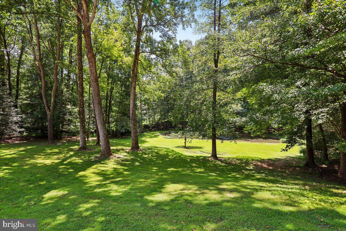 6310 Windpatterns Trl Property Photo 56